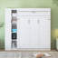 Lit escamotable double pleine grandeur avec tablettes, garde-robe et lumières DEL, blanc-181575890-181575889