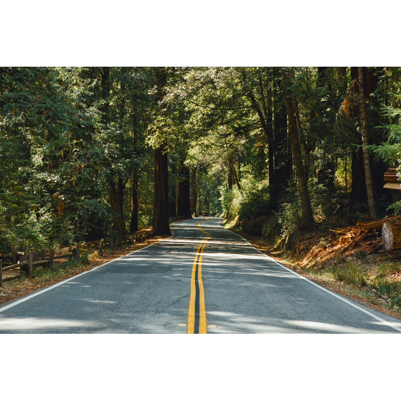 Forest Road - Wrapped Canvas Print, 61cm H x 91cm W x 3.8cm D