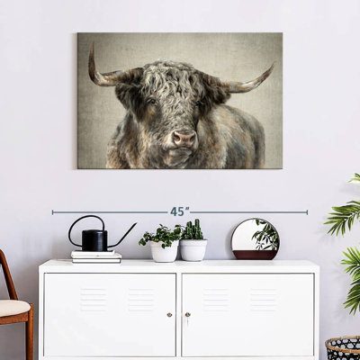 Grand Kyloe Bull