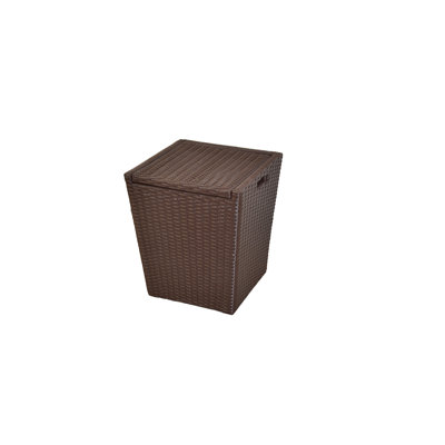 Plastic Laundry Basket with Handles