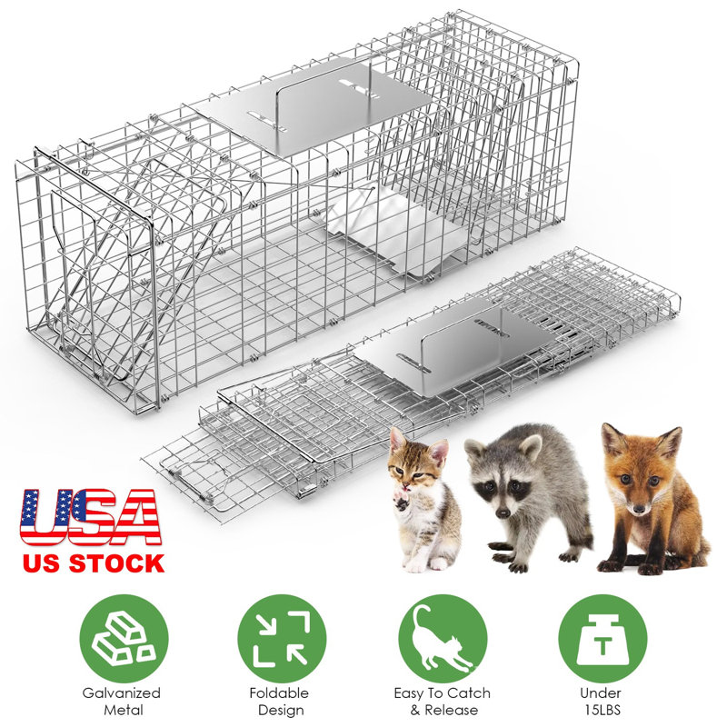 Cage à piège pour animaux vivant 37 x 14 x 15 po pliable pour attraper et libérer le piège à chat en fer galvanisé pour les ratons laveurs, les renards, les coyotes, les chiens, les tatous, les écureuils