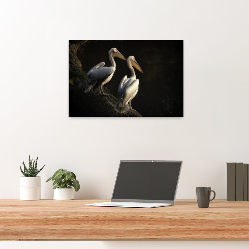 Elegant Pelican Pair Elegant Peaceful Serene Bird Pelican Nature Wildlife Wall Art Print 1 Piece Wrapped Canvas Wall Art