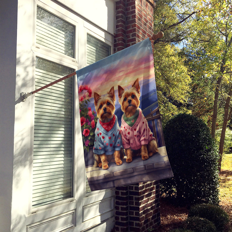 Double Sided 40'' H x 28'' W Polyester Valentine's Day House Flag
