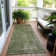 Machine Washable Indoor/Outdoor Cinead ACN1656 Green Rug