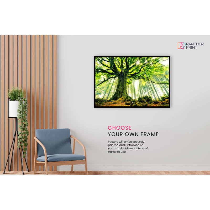 Green Forest Trees Woods - No Frame Print, 31cm H x 20cm W x 1cm D