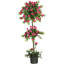 Mini topiaire rond en pot Gabi 60 po Gabi
