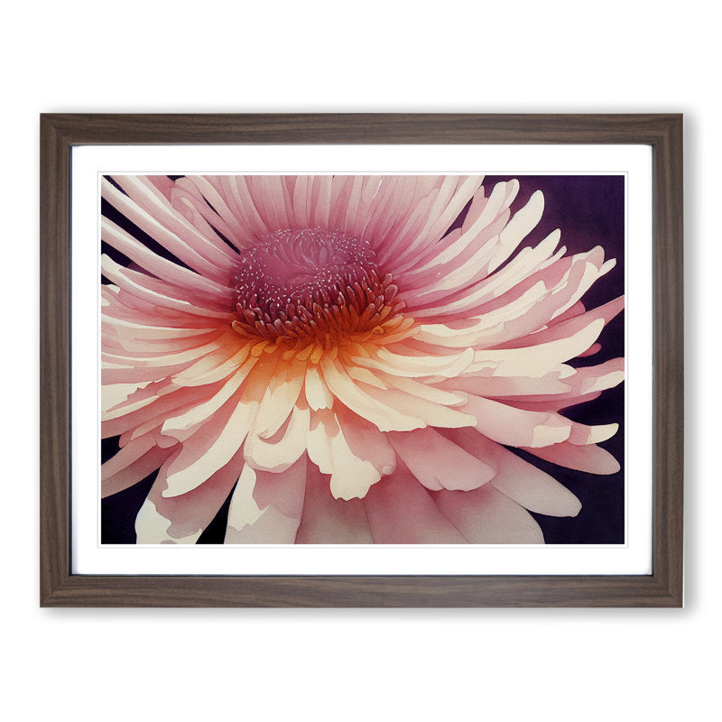 Chrysanthemum Watercolour Flower Vol.2 - Framed Print, 46cm H x 64cm W x 2cm D, Walnut Framed