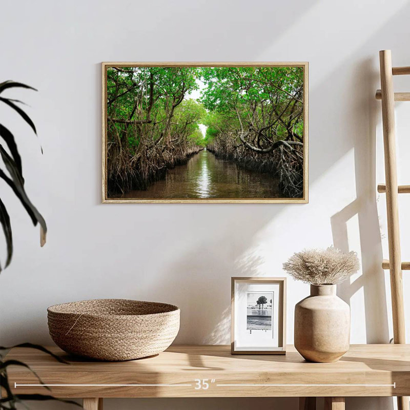 Mangroves de Everglade City, 19 po x 13 po, Cadre flottant en bois naturel