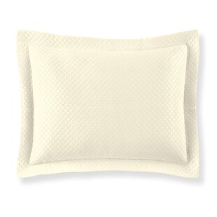 https://assets.wfcdn.com/im/61450783/resize-h310-w310%5Ecompr-r85/1962/196229047/Oxford+Pillow+Cover.jpg