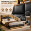 Storage Bed with LED Lighting and USB Port, Padded Double Bed with Storage and Headboard, PU-921734018