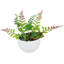 Plante grasse artificielle en pot 11,5 po