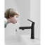 Robinet moderne noir mat à double fonction pour salle de bain et téléviseur