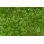 " Nature Background "