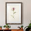 Mauve Garden Flowers VI - peinture encadrée-955008974-955008962