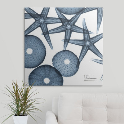 Starfish X-Ray Coastal
