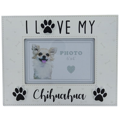 Dahl White Solid + Manufactured Wood Picture Frame