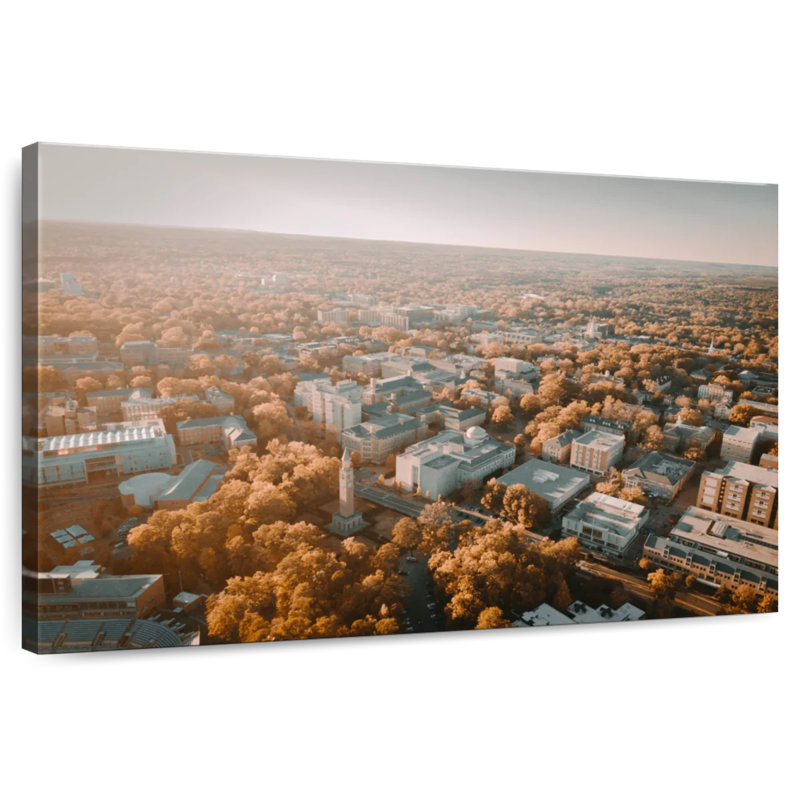Harpa UNC Campus Aerial View, 26" H x 39" W
