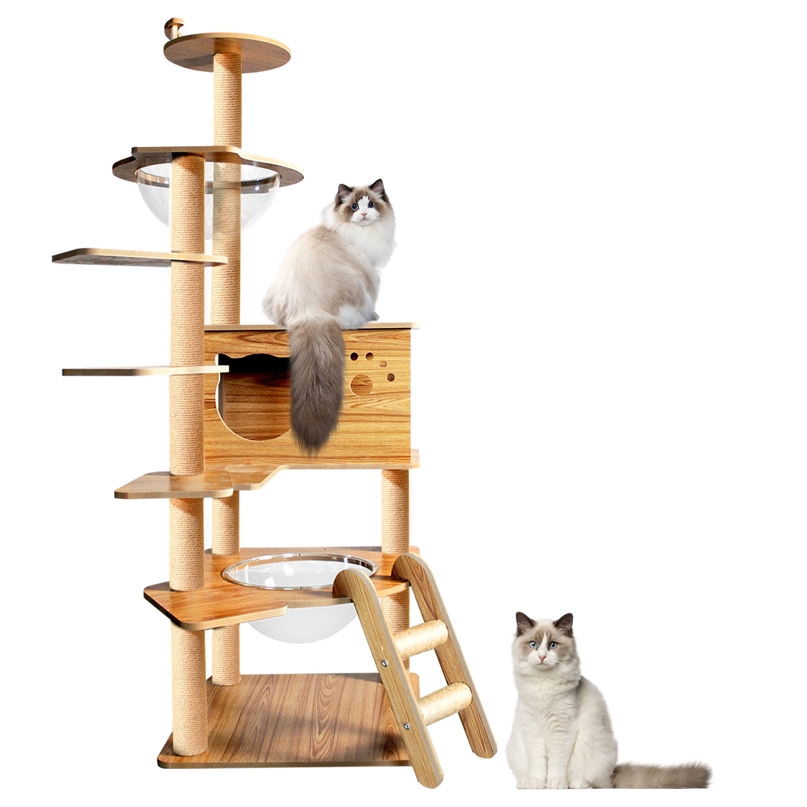 Archie & Oscar™ Arbre à chat en bois de 59,6 pi Uttoxeter pour grands ...