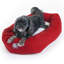 Traversin Patrice-3917850-11097555