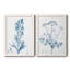 "Antique Botanical In Blue III", ensemble de 2 peintures sur toile encadrées-124724875-124725110