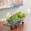 Tige de echeveria artificielle