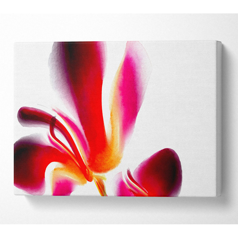Raspberry Ripple - Wrapped Canvas Print, 101.6cm H x 142.2cm W x 10cm D