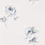 Rosa Wallpaper-50889150