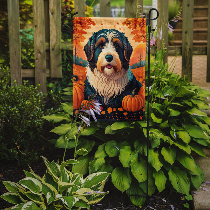 Drapeau de jardin barbu
