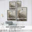 ANIMALS Series CCXLII, reproduction encadrée - bois massif-1346154222