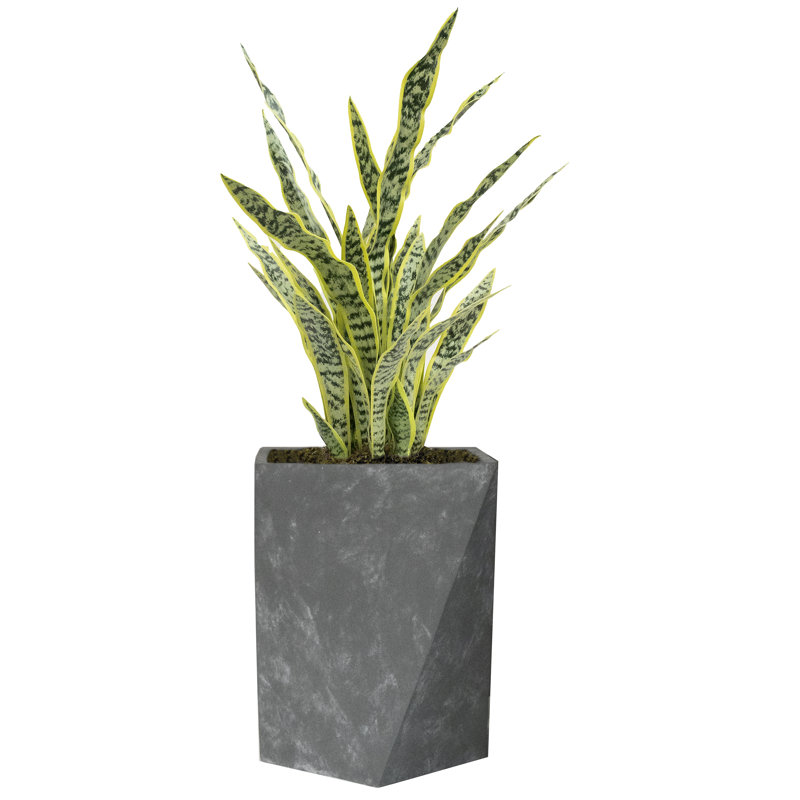 Panama 18 " H Faux Snake Plant Tree in Fiberstone Planter
