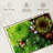 Harnek Succulent Varieties-107859063