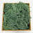 Preserved Reindeer Moss Grass Green-1467937424