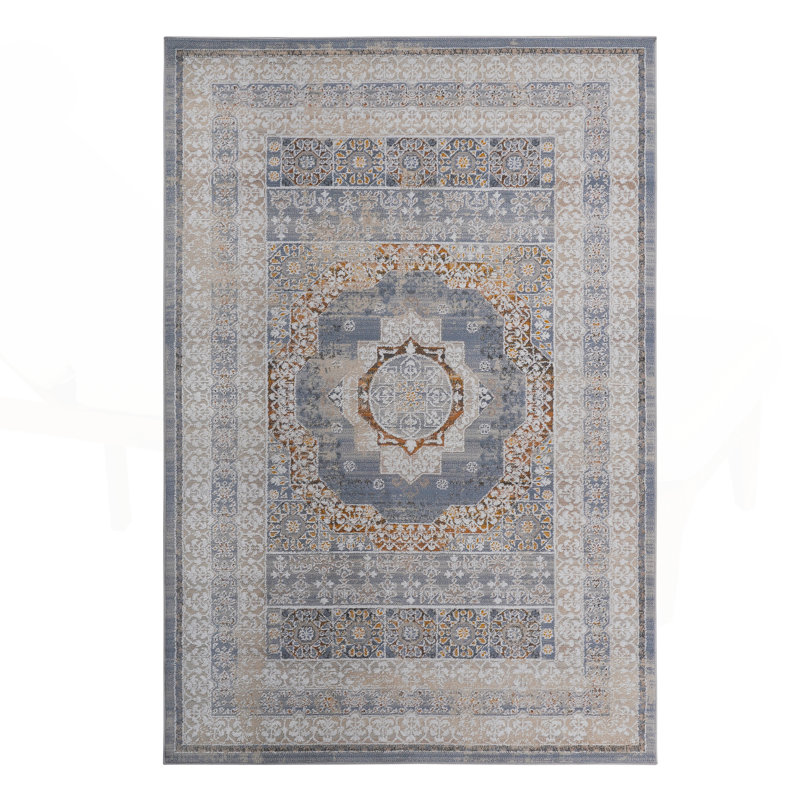 2X3 Medallion Non-Shedding Living Room Bedroom Dining Home Office Stylish and Stain Resistant Area Taymur