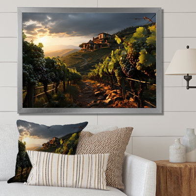 " Vineyard Misty Meadows Cellars II "