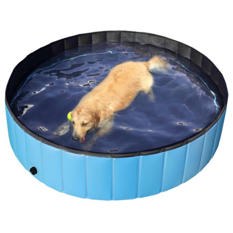 Aike Home Thick Folding Portable Swimming Pool - Wayfair Canada