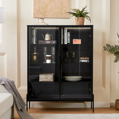 Lighted Display Cabinet With Tempered Glass Door, Led Curio Cabinet, Accent Cabinet by Ivy Bronx