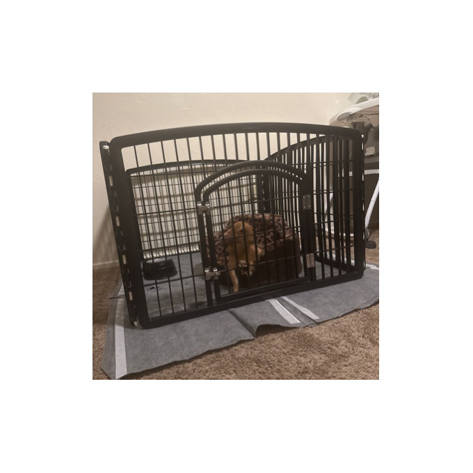 Zoey Tails 4-8 Panel Dog Exercise Playpen with Door, 24-in
