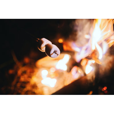Roast Marshmallows - Photographie sur toile tendue