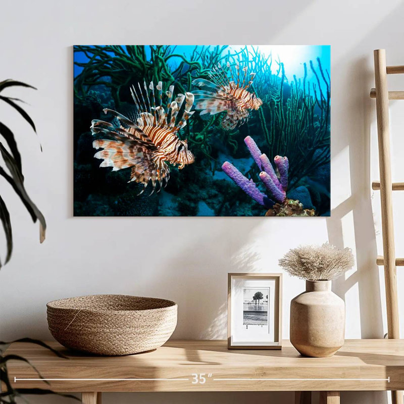 Brampt Atlantic Ocean Lionfish, 16" H x 24" W
