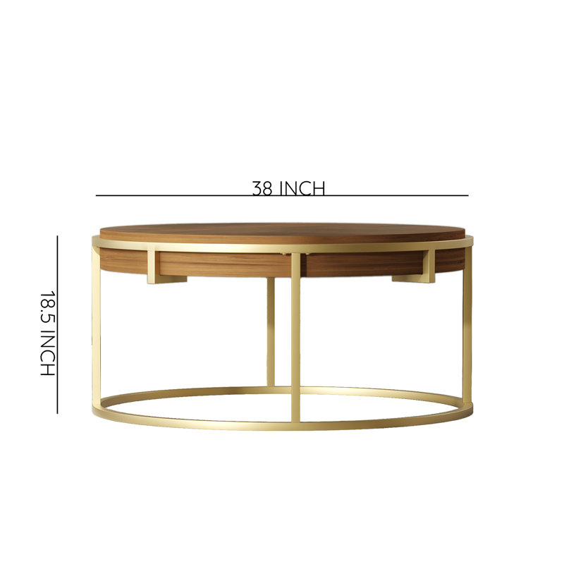 Nupur Single Coffee Table