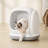 75L Extra Large Open Self-cleaning Smart Automatic Cat Litter Box With Mat & Liner for Multi Cats, App Control/Odor Removal/Safety Protection-1359893508
