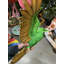Statue verte perroquet Ara vert grandeur nature-602341653