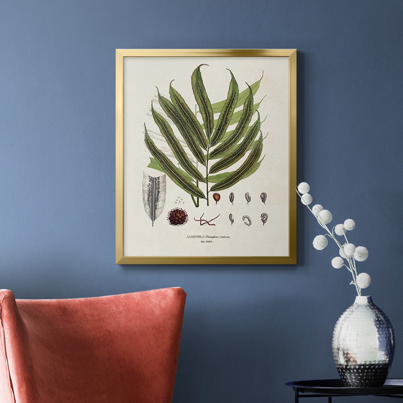 Toile encadrée de qualité supérieure Botanical Society Ferns II - prête à être accrochée, H 24 po x l 20 po, Or