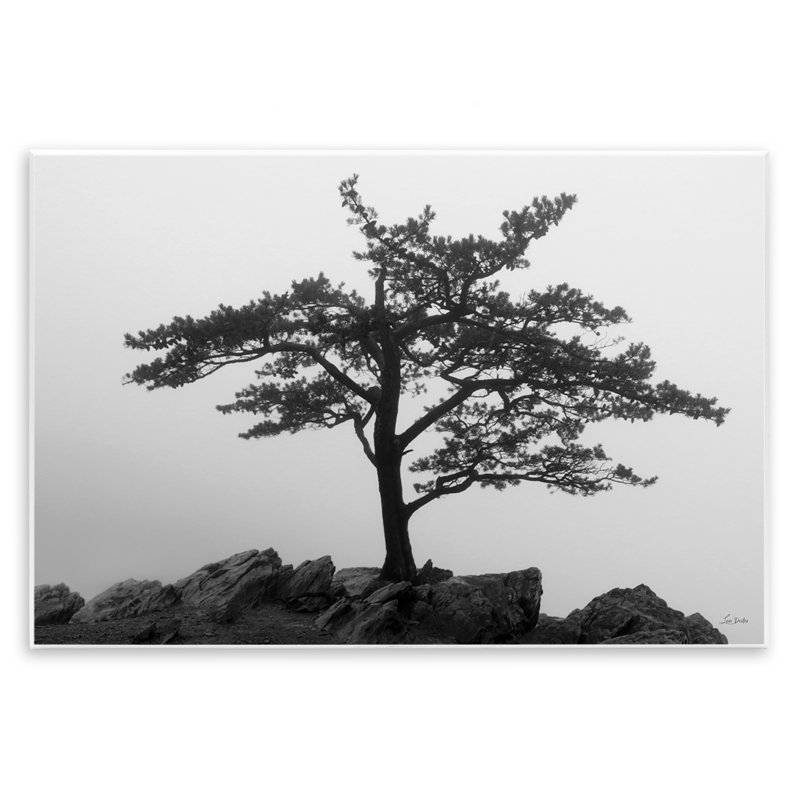 Art mural Lone Tree on Rocks par Lori Deiter, H 10 po x l 15 po