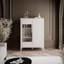 Display Cabinet-1540119287