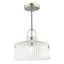 1 - Light Satin Nickel Pendant