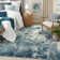 Ink Wash Abstract Plush Area Rug – Artistic Brushstroke Accent with Non-Slip Base