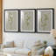 Fleurs blanches sur fond blanc I - reproduction sur mesure encadrée de qualité supérieure - 3 pièces-673045-673044