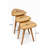Nesting Table (3 Pieces)