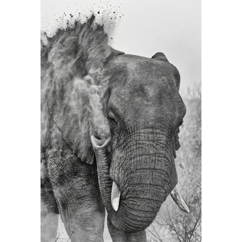 Wrapped Canvas Print, 76.2 cm H x 50.8 cm W